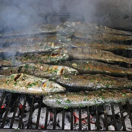 Fluctus Бродарица