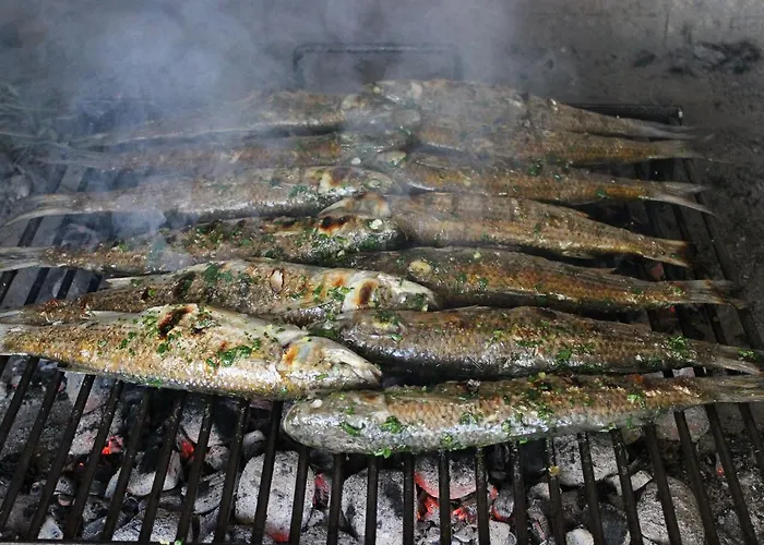 Fluctus Brodarica (Sibenik-Knin)